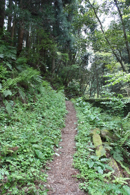 世界遺産・石見銀山遺跡・温泉津沖泊道４の写真の写真