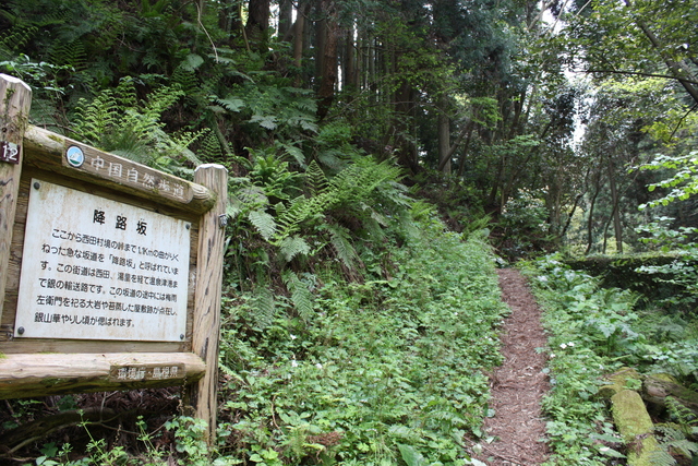 世界遺産・石見銀山遺跡・温泉津沖泊道５の写真の写真