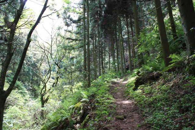 世界遺産・石見銀山遺跡・温泉津沖泊道１２の写真の写真