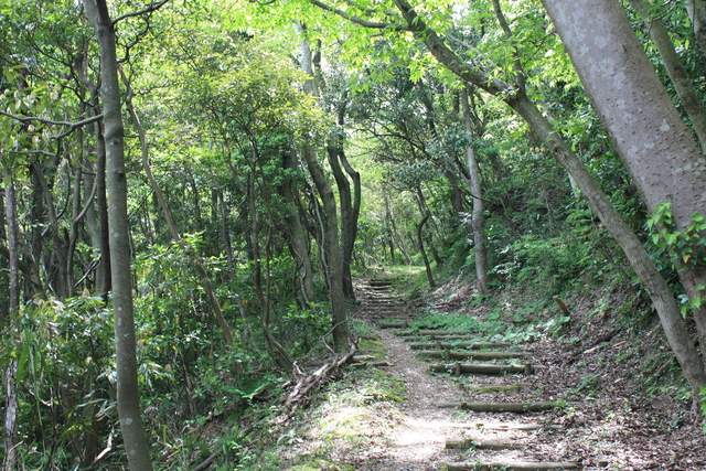 世界遺産・石見銀山遺跡・温泉津沖泊道１８の写真の写真