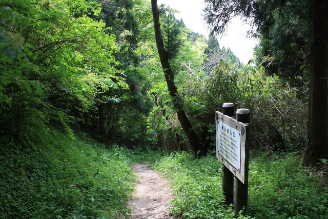 世界遺産・石見銀山遺跡・温泉津沖泊道２１の写真の写真