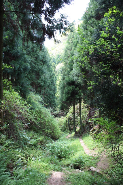 世界遺産・石見銀山遺跡・温泉津沖泊道２５の写真の写真