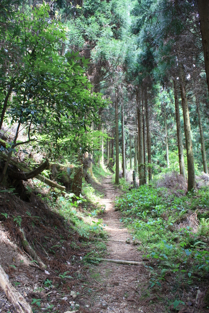 世界遺産・石見銀山遺跡・温泉津沖泊道２９の写真の写真