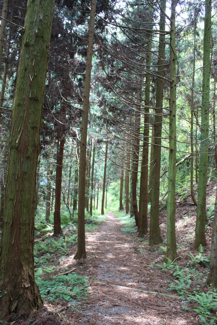 世界遺産・石見銀山遺跡・温泉津沖泊道３３の写真の写真