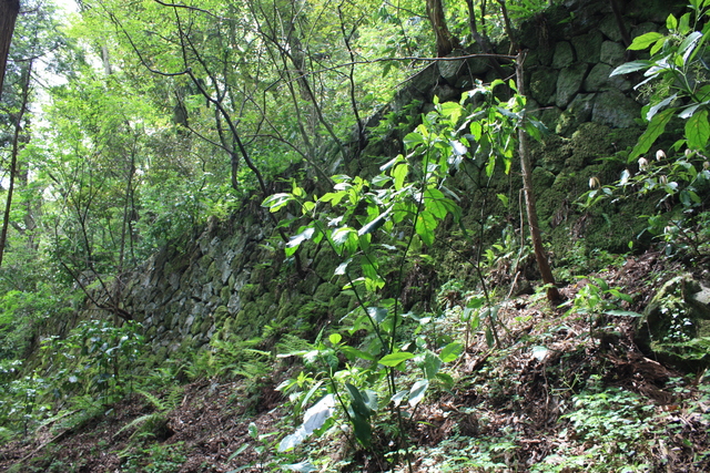 世界遺産・石見銀山遺跡・温泉津沖泊道３５の写真の写真