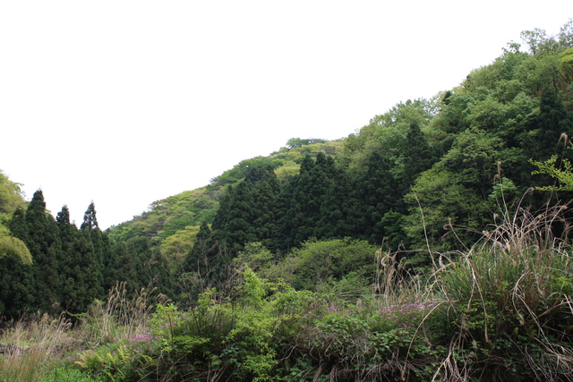 世界遺産・石見銀山遺跡・温泉津沖泊道４１の写真の写真