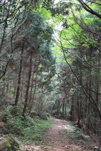 世界遺産・石見銀山遺跡・温泉津沖泊道８５の写真の写真