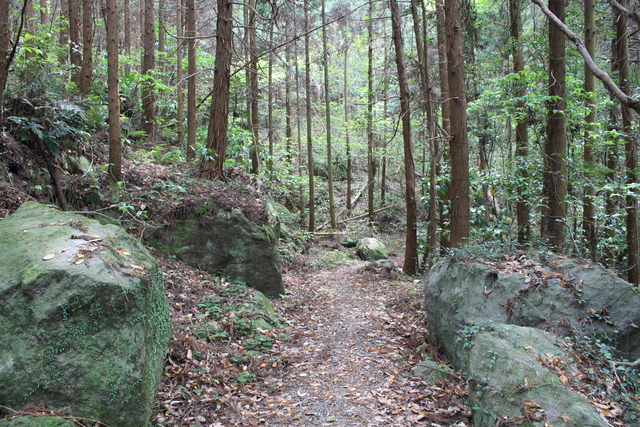 世界遺産・石見銀山遺跡・温泉津沖泊道８７の写真の写真
