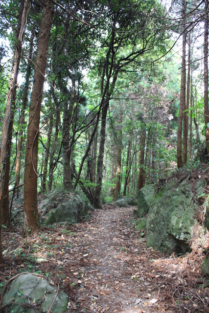 世界遺産・石見銀山遺跡・温泉津沖泊道８８の写真の写真