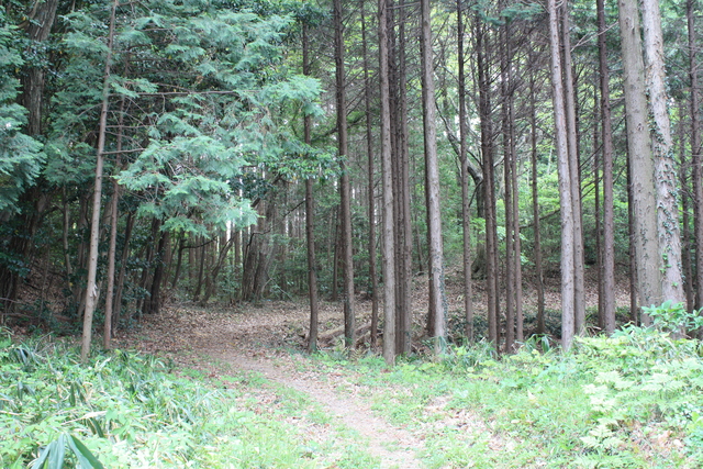 世界遺産・石見銀山遺跡・温泉津沖泊道９７の写真の写真