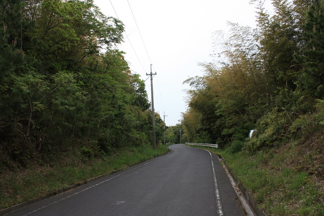 世界遺産・石見銀山遺跡・温泉津沖泊道１１０の写真の写真