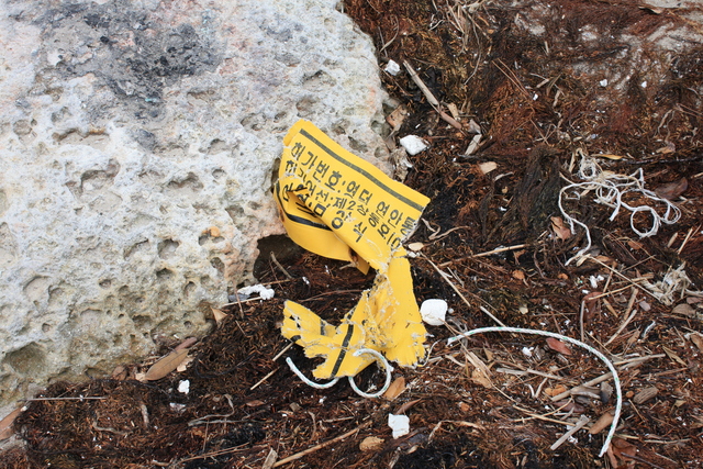 世界遺産・石見銀山遺跡・沖泊１２の写真の写真