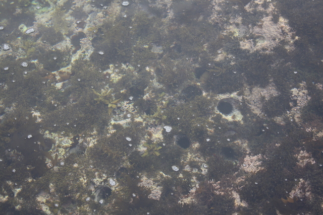 世界遺産・石見銀山遺跡・沖泊２７の写真の写真