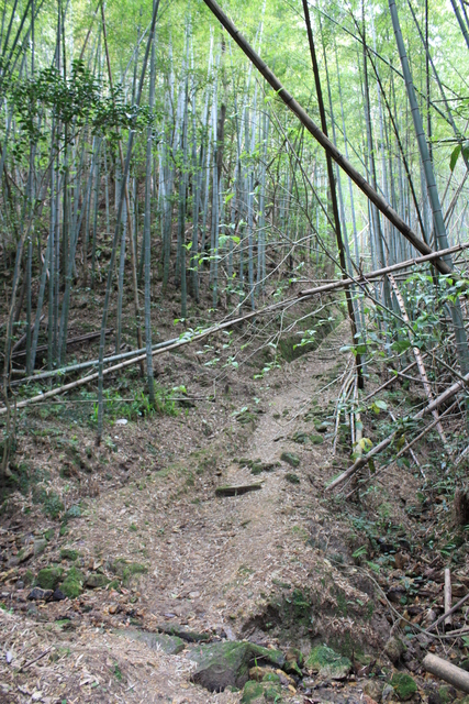 世界遺産・石見銀山遺跡・沖泊３０の写真の写真