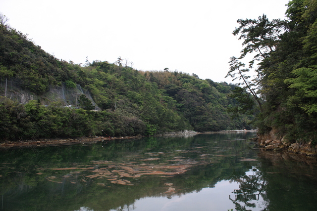 世界遺産・石見銀山遺跡・沖泊５０の写真の写真