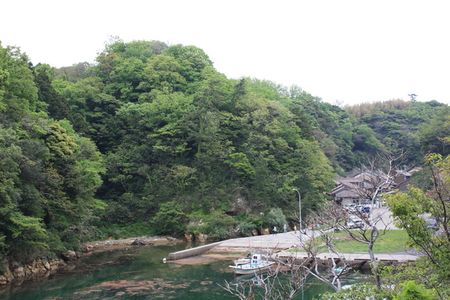 世界遺産・石見銀山遺跡・沖泊５３の写真の写真