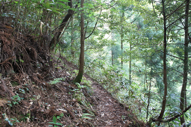 世界遺産・石見銀山遺跡・銀鉱山跡と鉱山町・矢滝城跡３の写真の写真