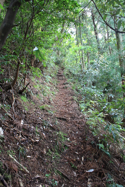 世界遺産・石見銀山遺跡・銀鉱山跡と鉱山町・矢滝城跡４の写真の写真