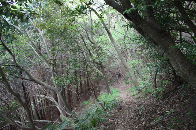 世界遺産・石見銀山遺跡・銀鉱山跡と鉱山町・矢滝城跡４０の写真の写真