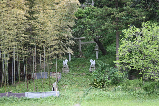 世界遺産・石見銀山遺跡・銀鉱山跡と鉱山町・石見城跡１の写真の写真
