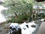 史跡・特別名勝・京都・大徳寺・大仙院・庭園・奥にあるのは島