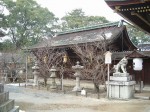 京都・北野天満宮・廻廊の外側
