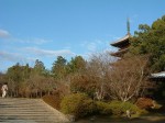 世界遺産・京都・仁和寺６