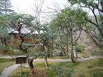 世界遺産・特別史跡・特別名勝・京都・銀閣寺・木々に囲まれる東求堂