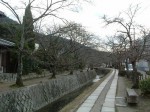 京都・哲学の道