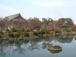 世界遺産・京都・東寺・講堂と瓢箪池