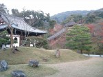京都・高台寺・庭園２