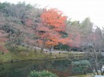 京都・高台寺・庭園５