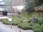 京都・知恩院・庭園１