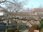 世界遺産・特別史跡・姫路城タの渡櫓