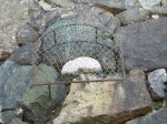 世界遺産・特別史跡・姫路城・貧しい老婆が寄付した石臼といわれる「姥が石」