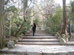 世界遺産・宮島・弥山・登山道入り口の階段