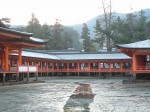 世界遺産・特別名勝・特別史跡・宮島・厳島神社２