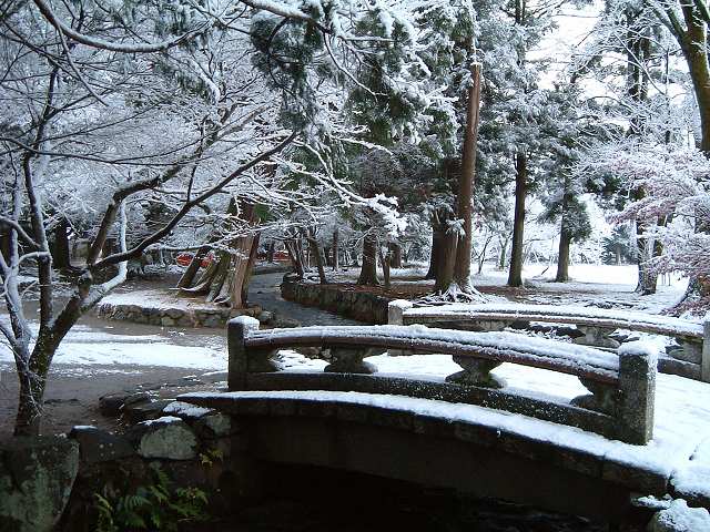 世界遺産・京都・賀茂別雷神社・橋の写真の写真