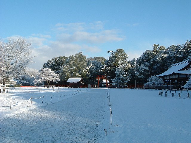 京都・賀茂別雷神社・雪に埋もれた境内の写真の写真