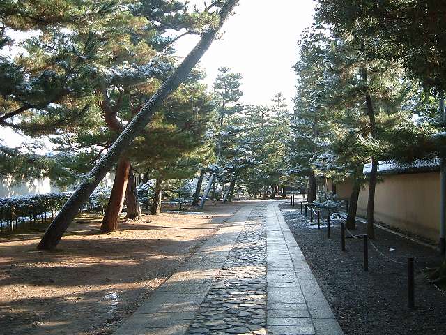 京都・大徳寺２の写真の写真