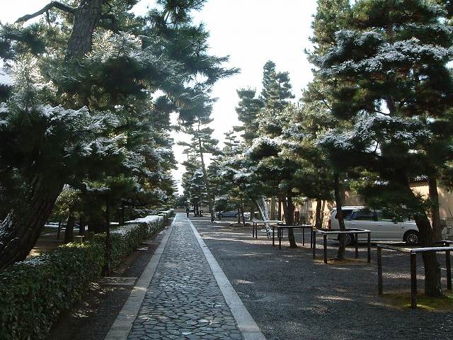 京都・大徳寺５の写真の写真