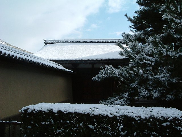 京都・大徳寺７の写真の写真