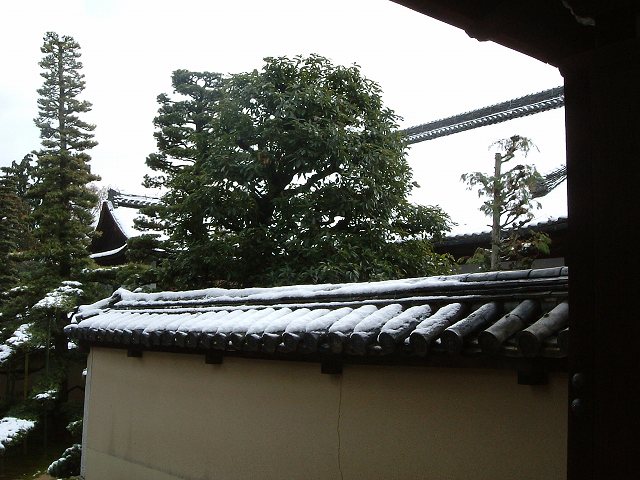 京都・大徳寺１２の写真の写真