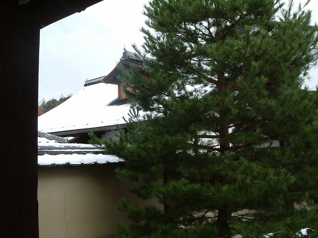 京都・大徳寺１３の写真の写真
