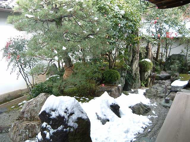 史跡・特別名勝・京都・大徳寺・大仙院・庭園・奥にあるのは島の写真の写真