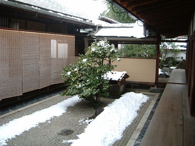 史跡・特別名勝・京都・大徳寺・大仙院・書院と方丈の間にも庭園があるの写真の写真
