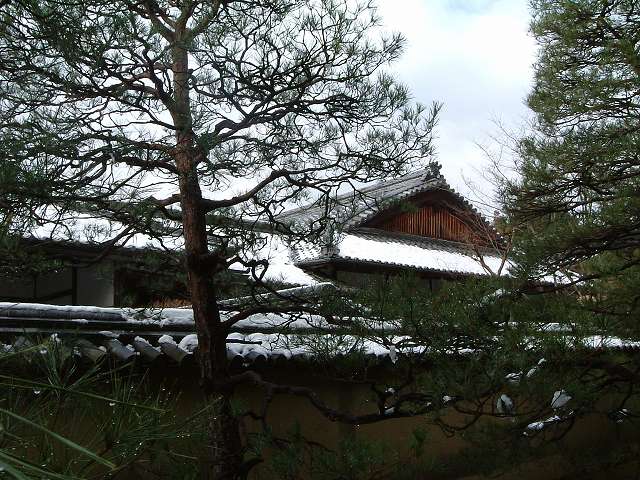京都２の写真の写真