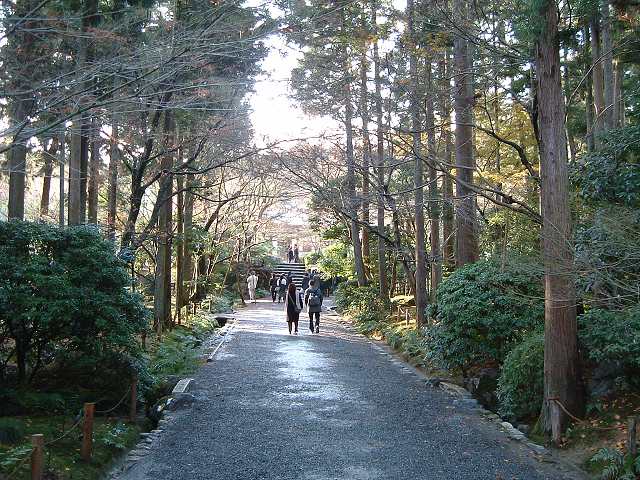 世界遺産・史跡・名勝・竜安寺（龍安寺）・庭園・杉並木の写真の写真