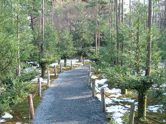 世界遺産・史跡・名勝・竜安寺（龍安寺）・庭園・散策路の写真の写真
