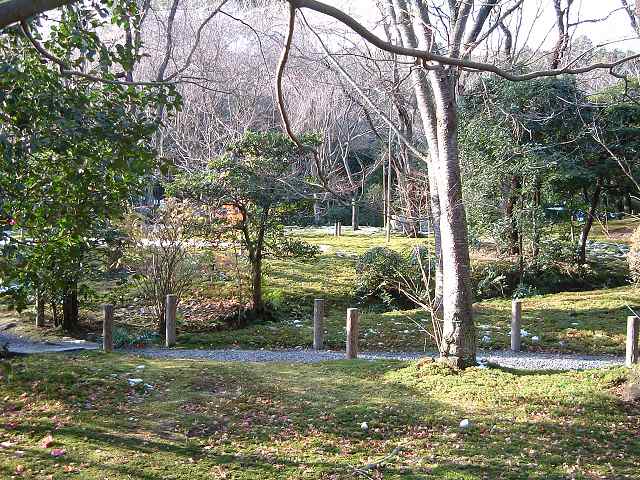世界遺産・史跡・名勝・竜安寺（龍安寺）・苔が生い茂る庭園の写真の写真